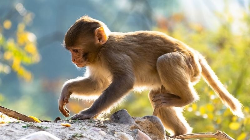 image_upload_1702268083_mceclip10