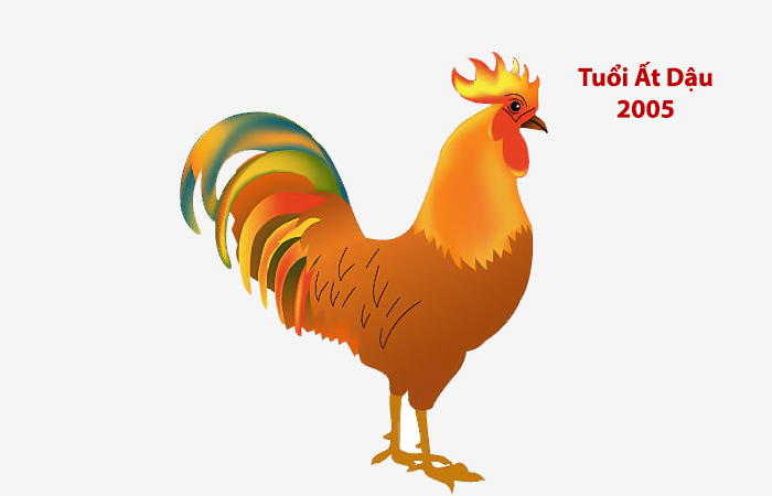 nam tuoi at dau 2005