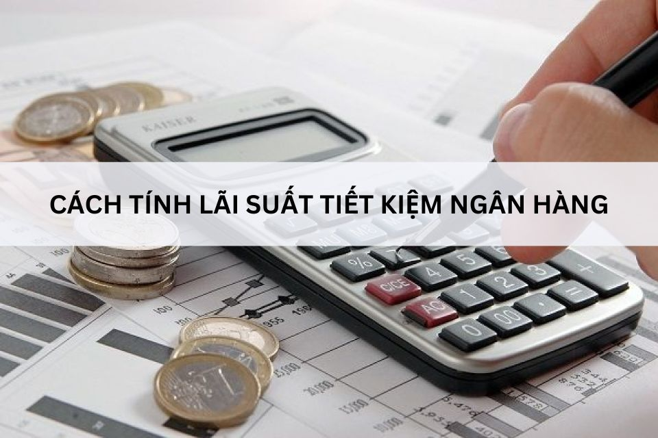 image_upload_1704855120_2 50-trieu-gui-ngan-hang-timo-lai-suat-bao-nhieu-onehousing-2