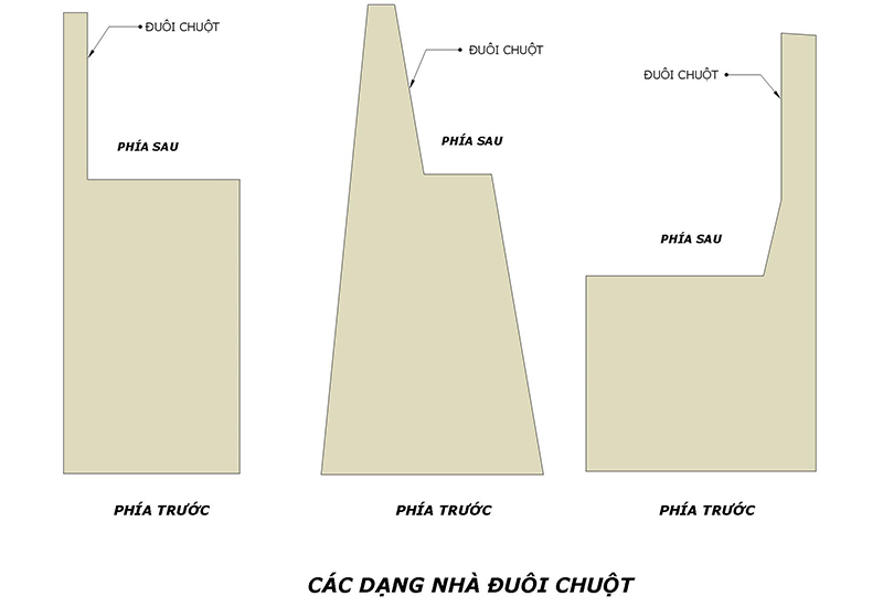 image_upload_1709829492_1 cach-hoa-giai-phong-thuy-khi-lo-mua-nha-dat-dau-voi-duoi-chuot-onehousing-1