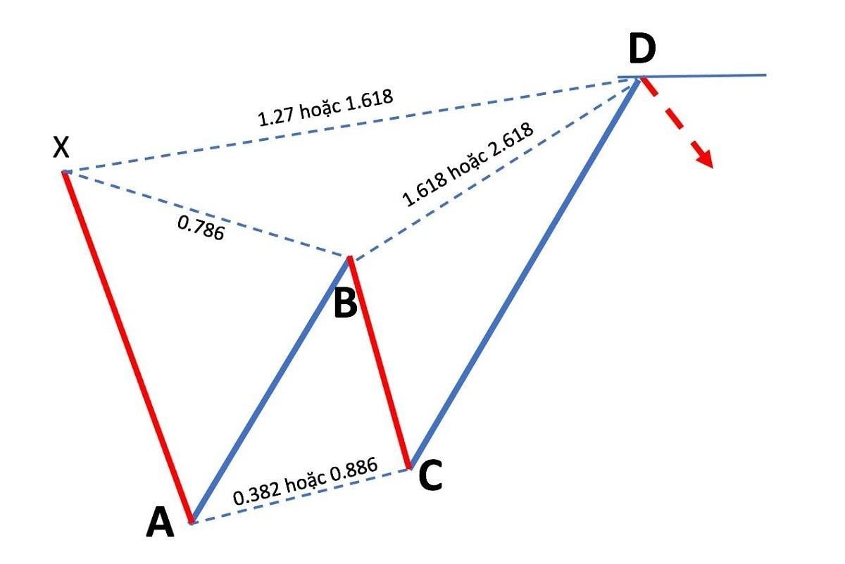 image_upload_1718642967_6 mo hinh Butterfly