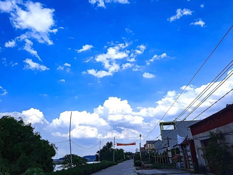 image_upload_1728924509_1