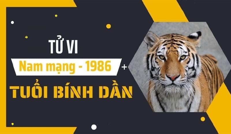xem-tu-vi-tuoi-binh-dan-1986-nam-mang-nam-2024-chi-tiet-nhat-n17t-onehousing-1