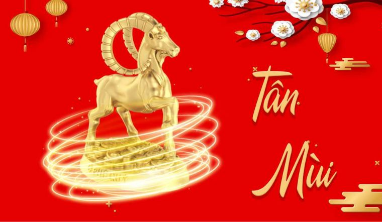 image_upload_1731661227_2