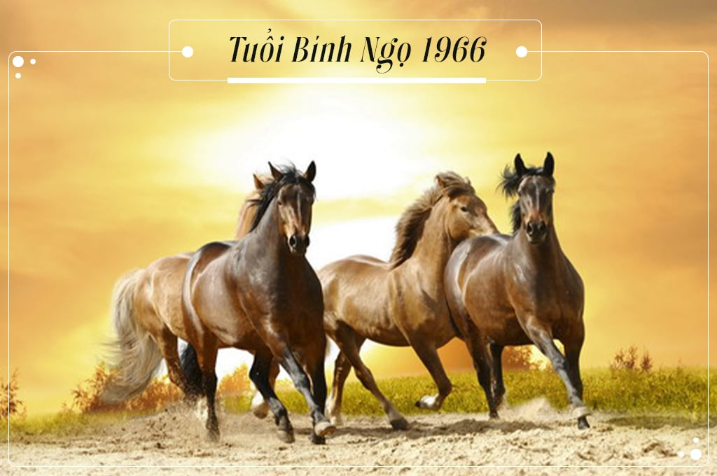 image_upload_1731710889_picture2 xem-tu-vi-tuoi-binh-ngo-1966-nam-mang-nam-2025-chi-tiet-nhat-2