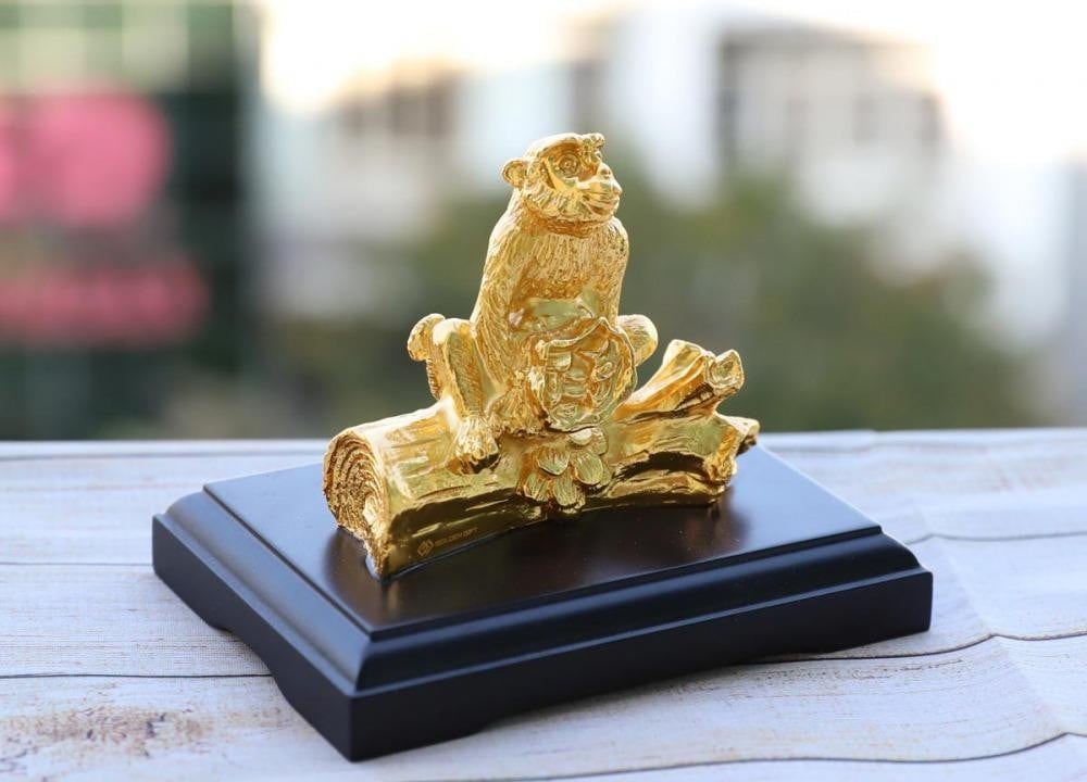 image_upload_1732203744_2