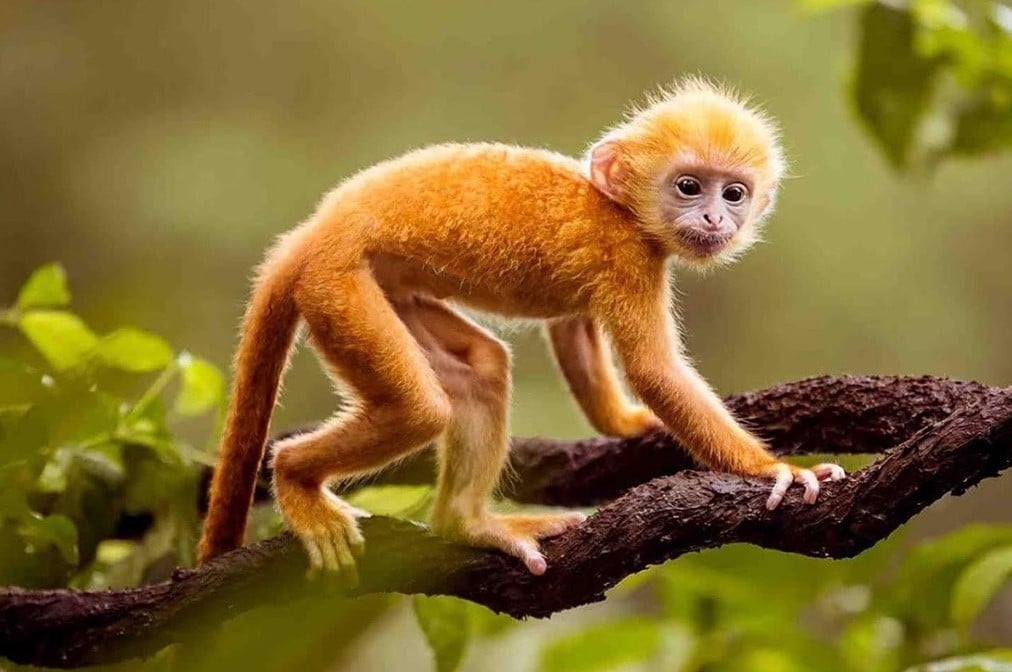 image_upload_1732203753_3