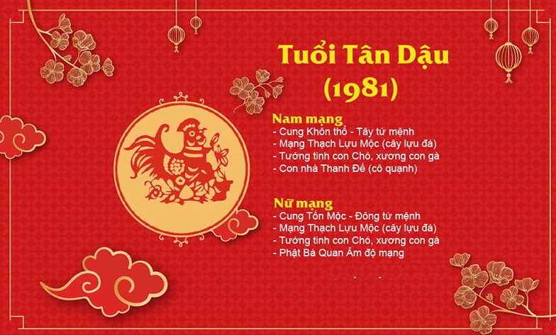 tuoi-tan-dau-1981-sao-nao-chieu-menh-trong-nam-2025-1