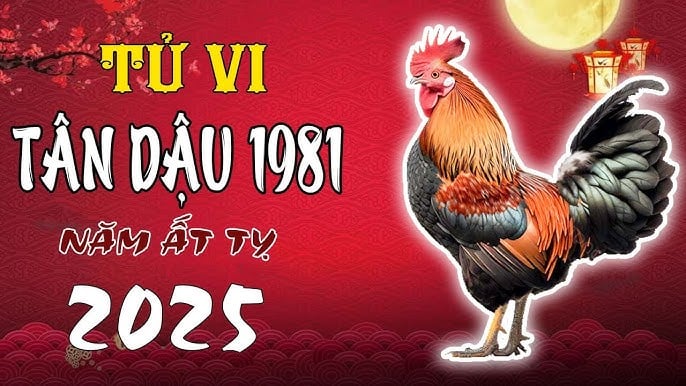 tuoi-tan-dau-1981-sao-nao-chieu-menh-trong-nam-2025-2