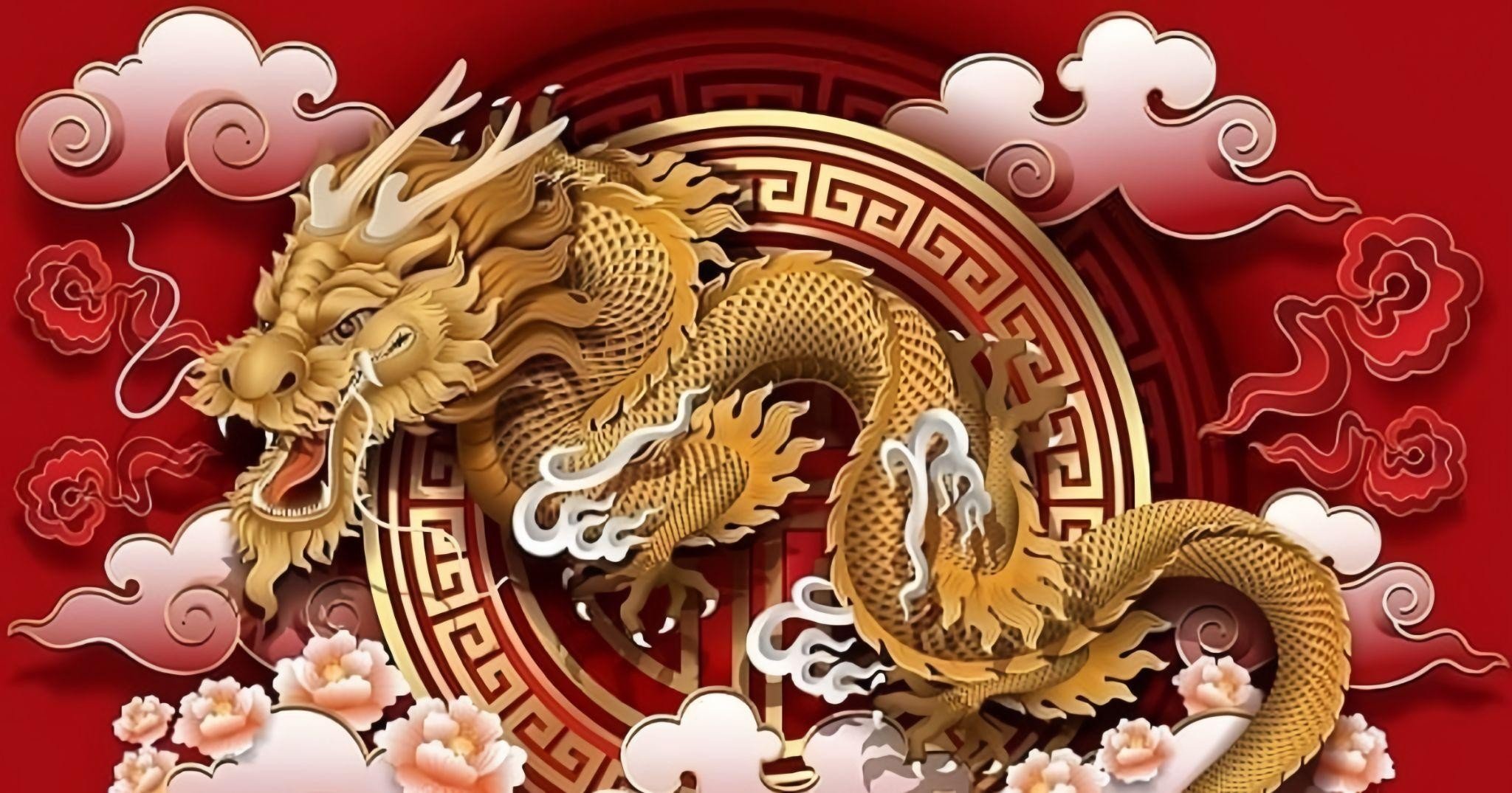 image_upload_1732340007_2