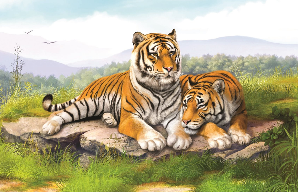 image_upload_1732522476_mceclip1