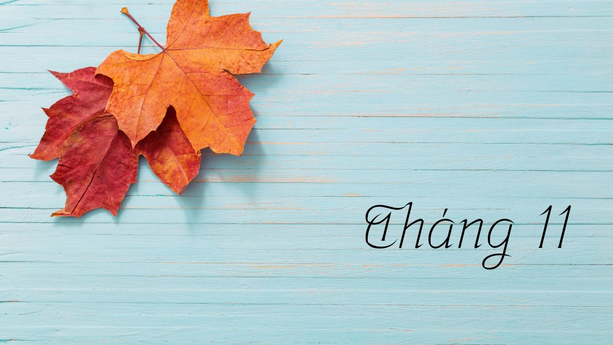 image_upload_1732936853_2