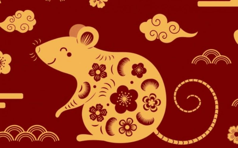 image_upload_1732936868_3