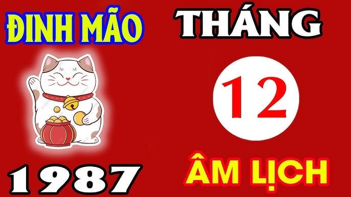 image_upload_1733417132_2