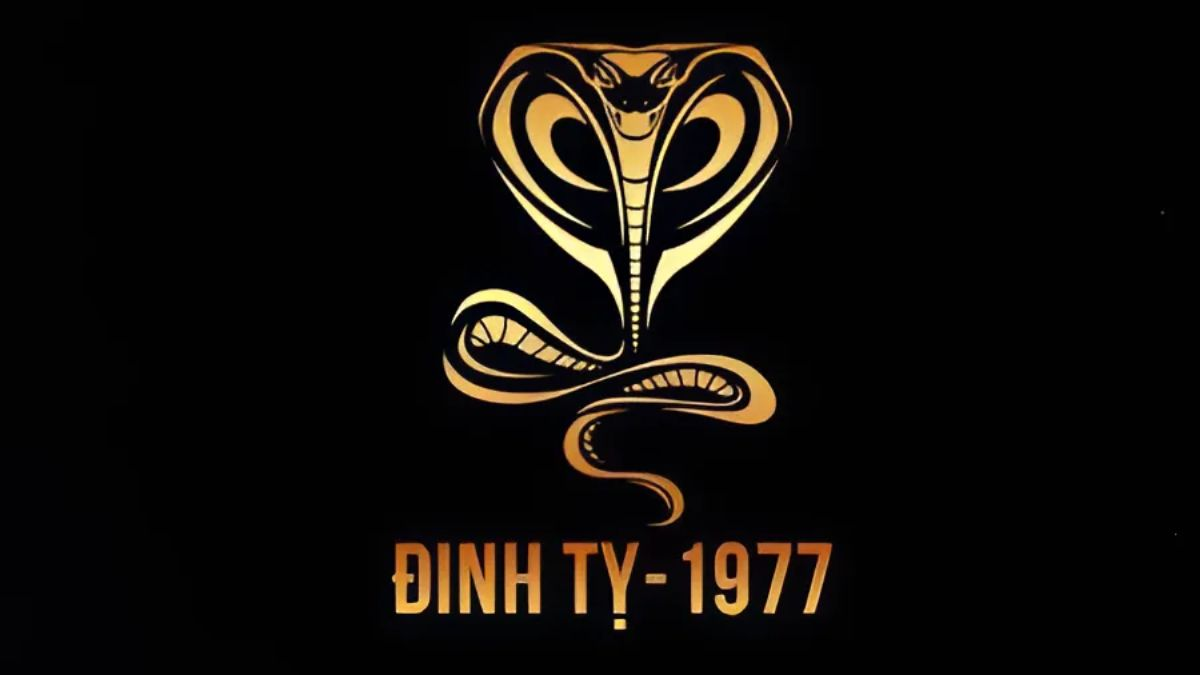 gia-chu-tuoi-dinh-ty-1977-nen-chon-tuoi-nao-xong-nha-trong-nam-2025-2