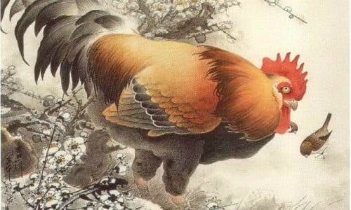 image_upload_1740191602_4