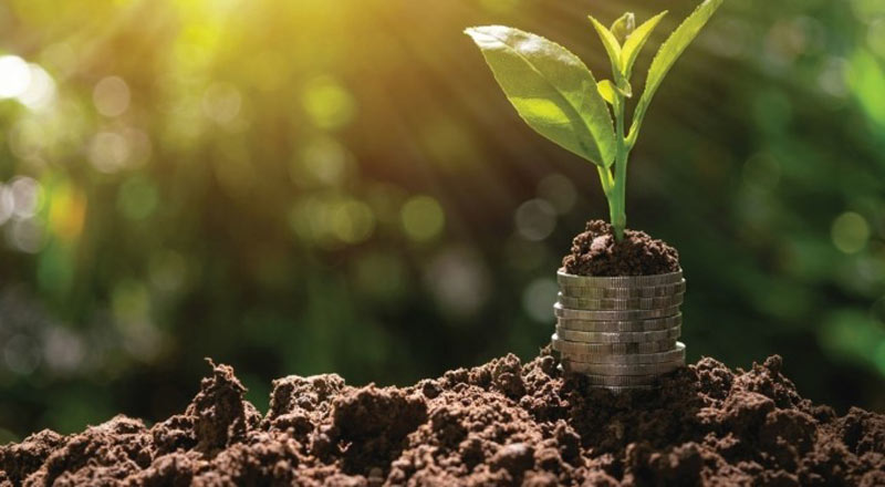 menh-tho-hop-mau-gi-2 Mệnh thổ hợp màu gì? Bí quyết lựa chọn màu sắc phù hợp với người mệnh thổ