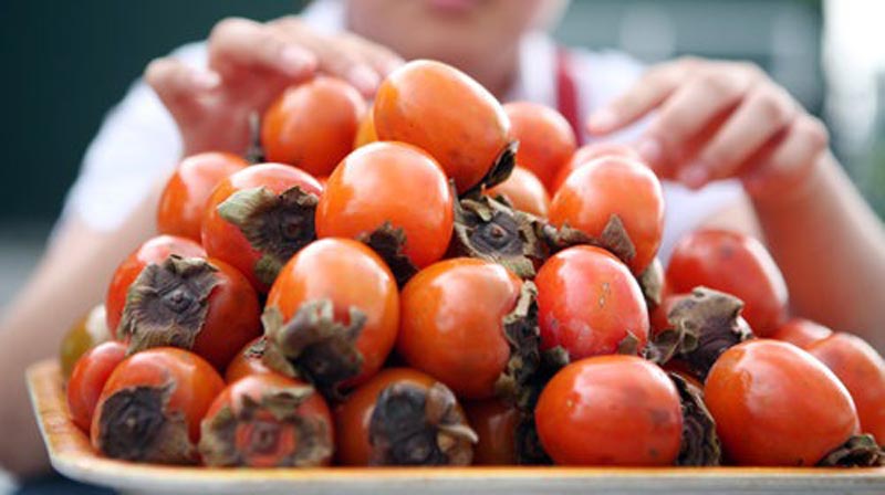 ngu-qua-cung-nha-moi-4 Gợi ý 5 loại trái cây cúng xây nhà theo ngũ hành