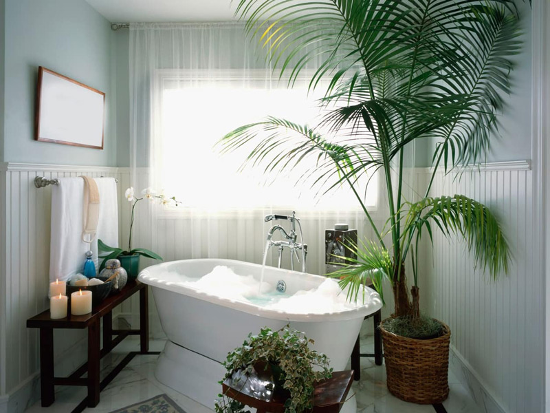 trang-tri-nha-ve-sinh-6 Trang trí phòng tắm với cây xanh 1