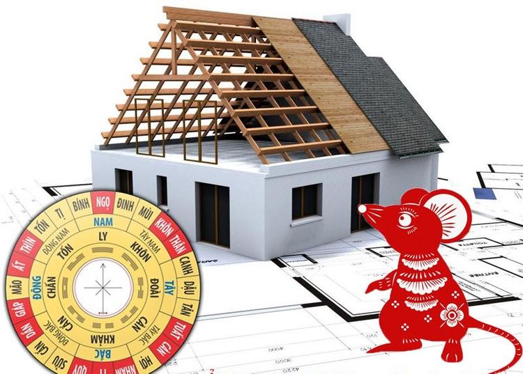 Sinh năm 1996 không hợp làm nhà năm 2024