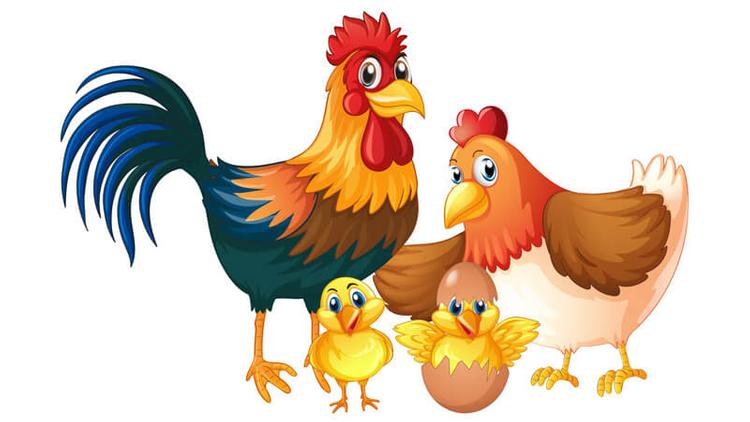 Ất Dậu sinh năm 2005 là tuổi con Gà