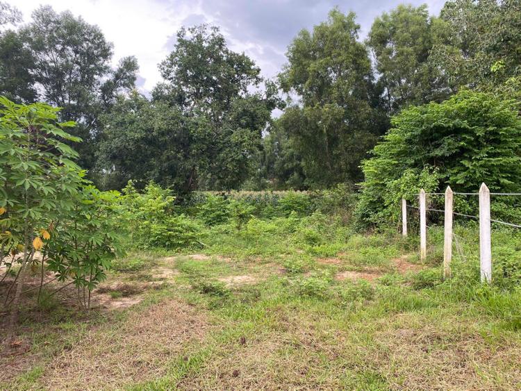 Chủ đất có thể thực hiện chuyển nhượng đất vườn với điều kiện đầy đủ giấy từ pháp lý