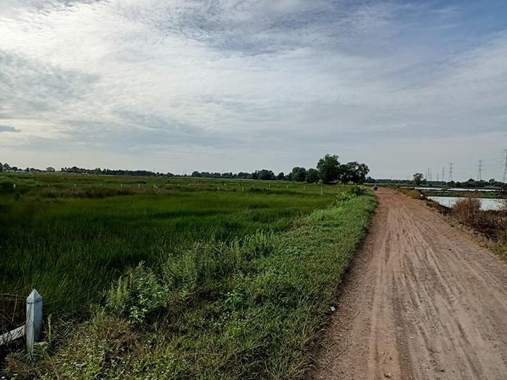 Sau khi hoàn thành chuyển đổi mục đích sử dụng đất BHK phải nộp một khoản thuế nhất định