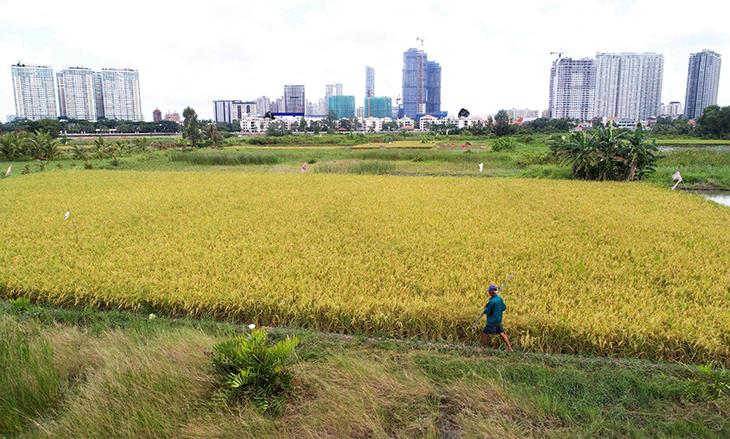 Nhiều người băn khoăn khi có ý định đầu tư vào đất BHK