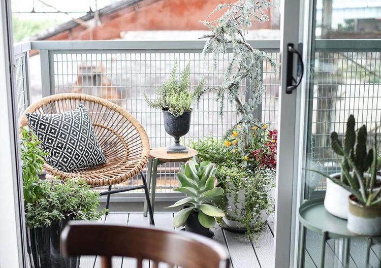 Hoa treo ban công cần đảm bảo chắc chắn