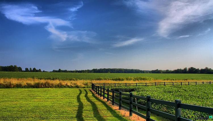 20220721165838-feef Nhà nước cho phép chuyển đổi đất ĐRM thành đất thổ cư