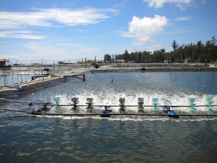 Nhiều người thắc mắc đất NTS là gì