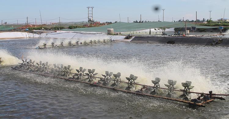 Đất NTS có thể lên thổ cư