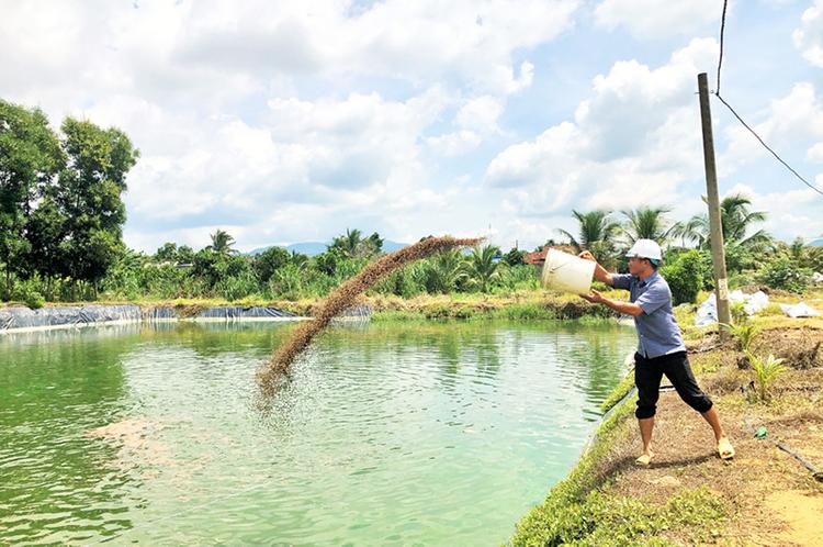 Khi chuyển đất NTS lên thổ cư phải thực hiện đúng thủ tục và nghĩa vụ tài chính