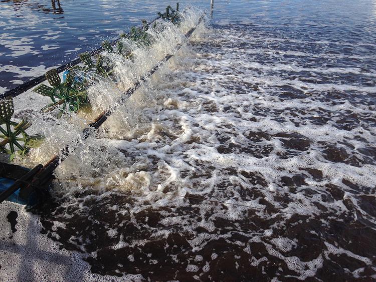 Đất nuôi trồng thủy sản ký hiệu là NTS