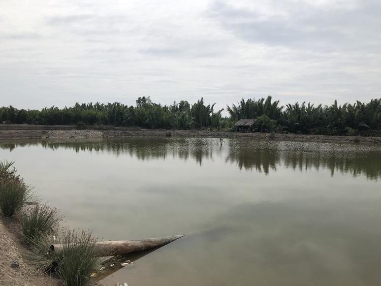 Việc giao đất NTS phải tuân theo hạn mức quy định