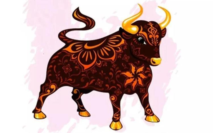 20230226195357-c1ff 1997 Xây Nhà Năm 2023 Được Không?