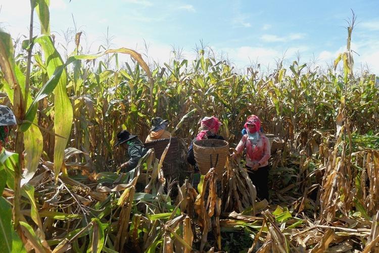 Nhiều người không biết NHK là đất gì và thời hạn sử dụng là bao lâu