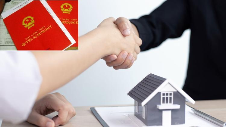 Chuyển nhượng quyền sử dụng đất có thể bao gồm cả nhà ở và tài sản đi kèm đất
