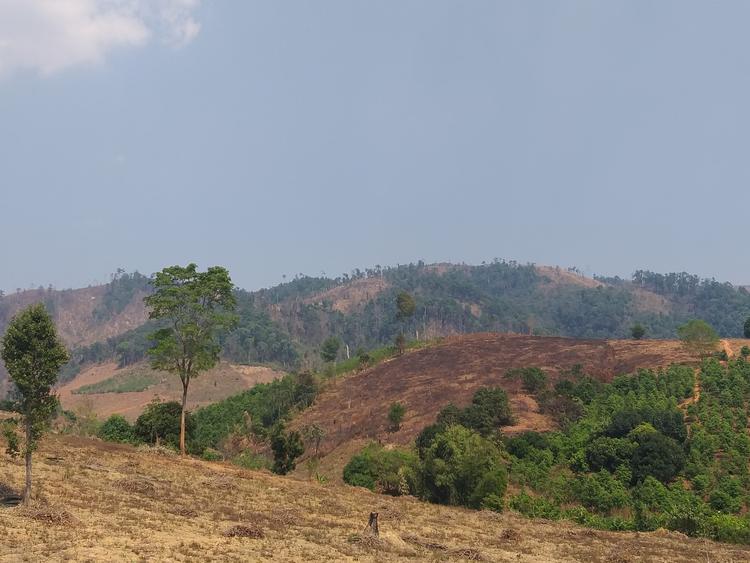 Đất bỏ hoang, không đủ điều kiện hoặc chưa xác định mục đích được xếp vào nhóm đất chưa sử dụng