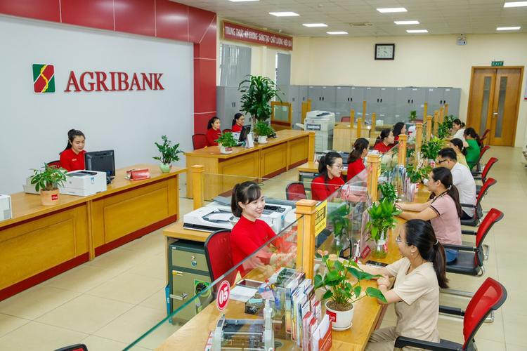 Khách hàng giao dịch tại ngân hàng Agribank