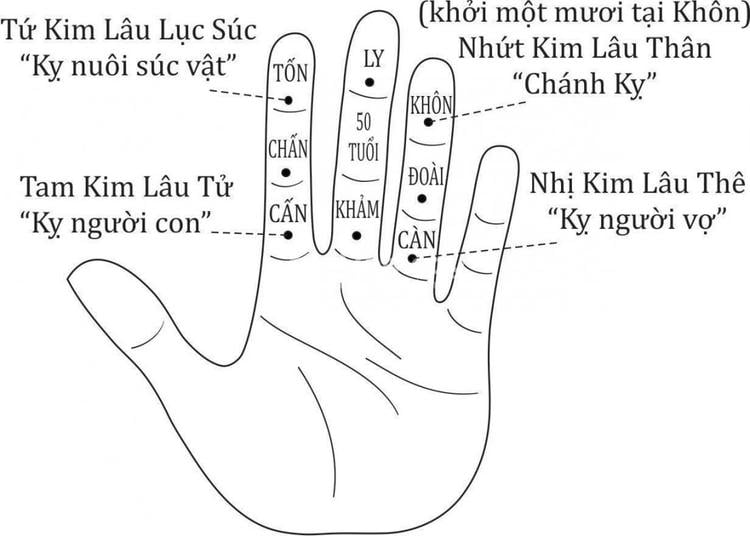 Cách tính Kim Lâu qua các đốt trên ngón tay