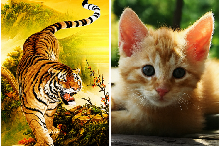 Mệnh Thành Đầu Thổ sinh vào các năm 1998, 1999