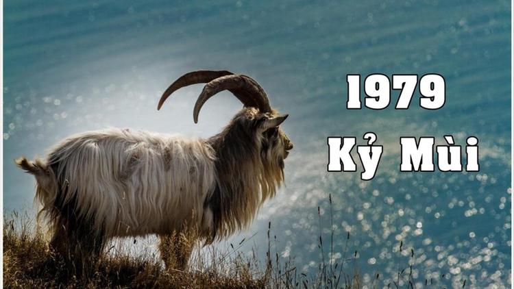1979 hợp hướng nào