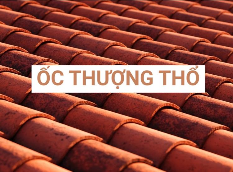 Mệnh Ốc Thượng Thổ nghĩa là đất trên mái nhà