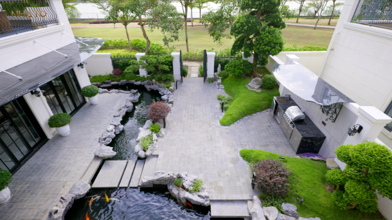 Sự cân bằng diệu kỳ của tự nhiên