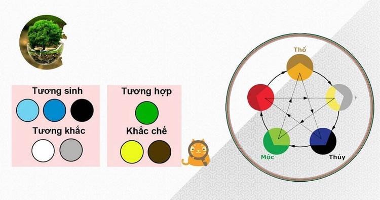 Nhóm màu hợp và kỵ mệnh Tang Đố Mộc