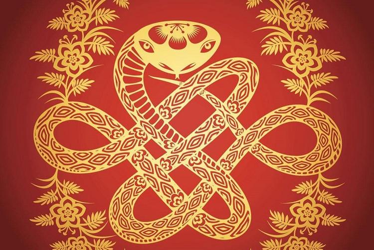 Tuổi Tỵ đại diện là con Rắn đứng thứ 6 trong 12 con giáp