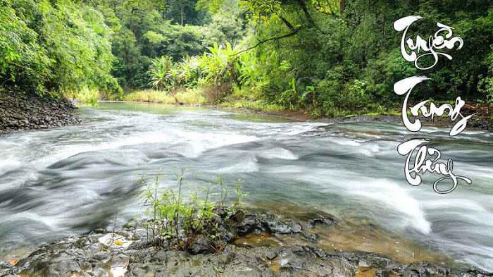 Tuyền Trung Thủy là dòng nước trong khe, trong suối