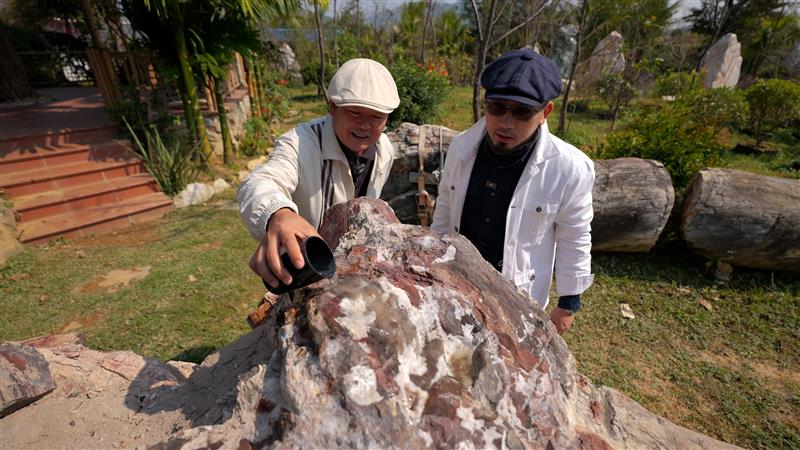 Nhiều khối gỗ đã "hóa ngọc", thấu quang dưới làn nước