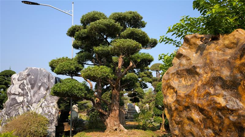 Công viên đá Quang Minh giúp ta thấu hiểu hơn về sự tĩnh tại